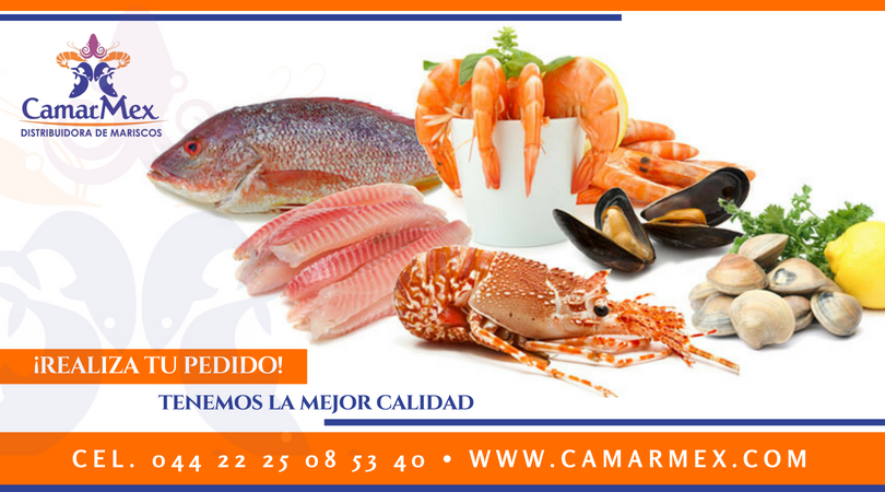 CAMARMEX - Camarón, Pescado, Filete, Langosta.